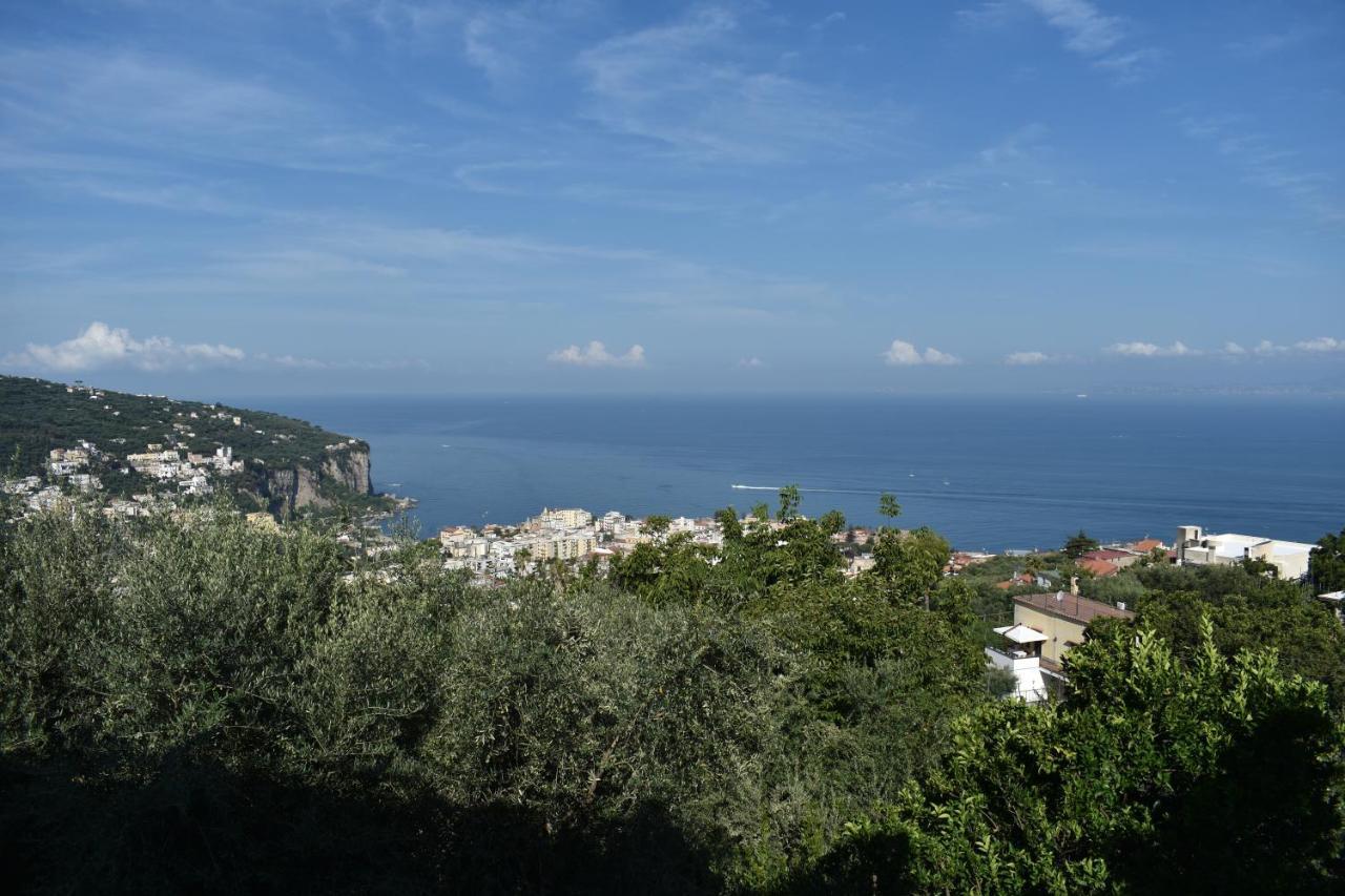 Villa Di Martino Vico Equense Exteriör bild